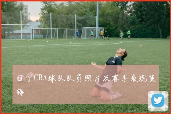 辽宁CBA球队队员照片及赛季表现集锦