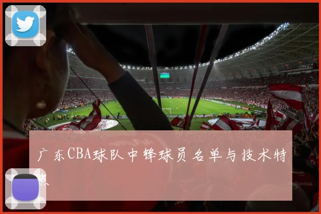 广东CBA球队中锋球员名单与技术特点