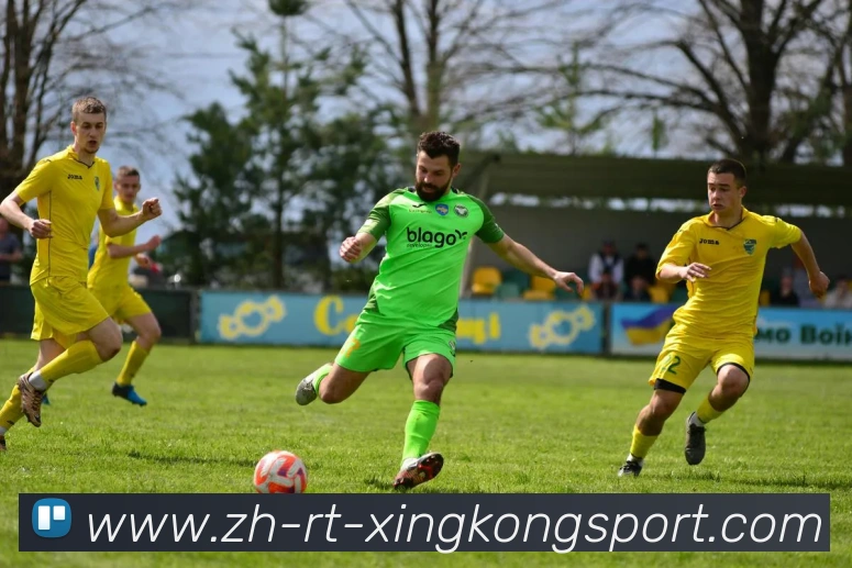 星空体育平台生态图